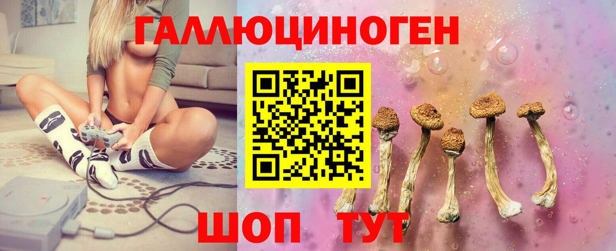 Галлюциногенные грибы Psilocybine cubensis Искитим
